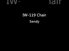 O jantar de madeira estofado couro não preside nenhum braço com Ash Wood Black Color